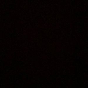 Meet your Posher, Elisa